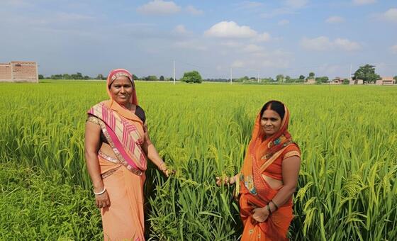 भारत: विश्व बैंक समर्थित नई कृषि तकनीक से ग्रामीण अर्थव्यवस्था को प्रोत्साहन